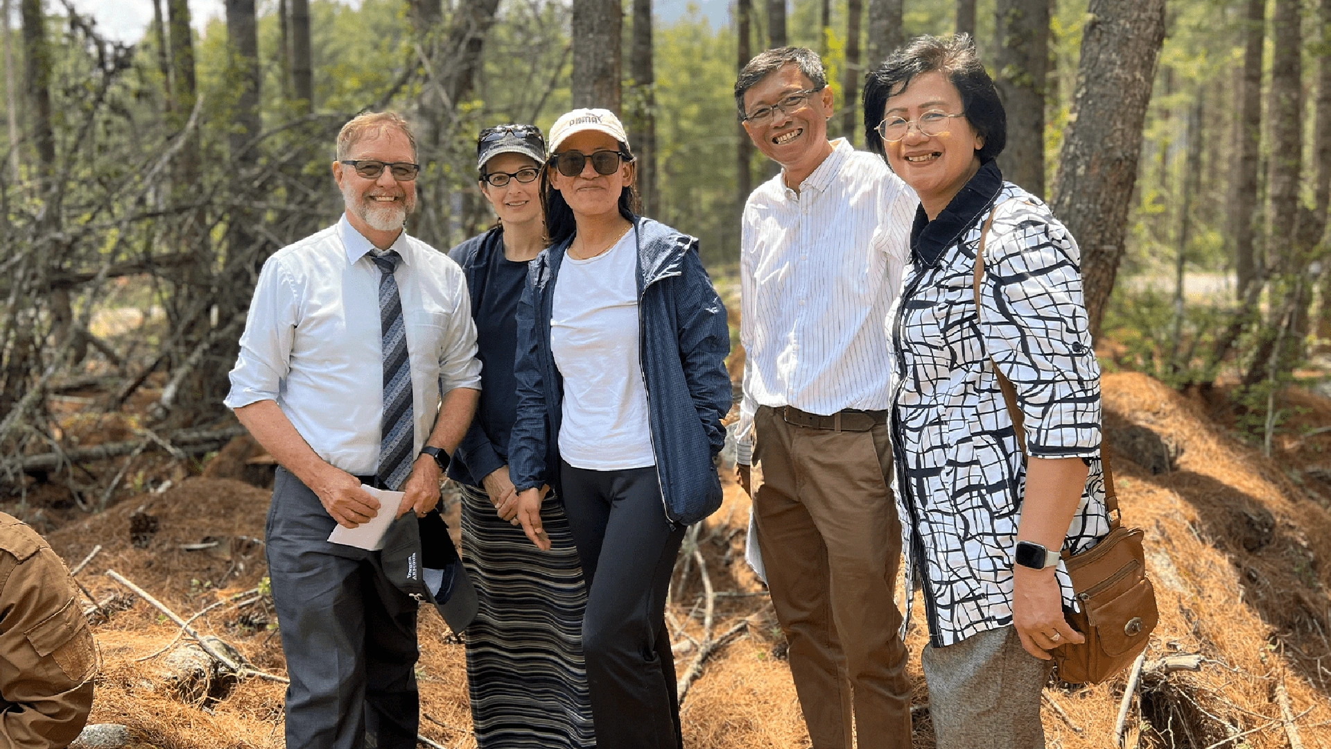 Innovest Press Release 2026